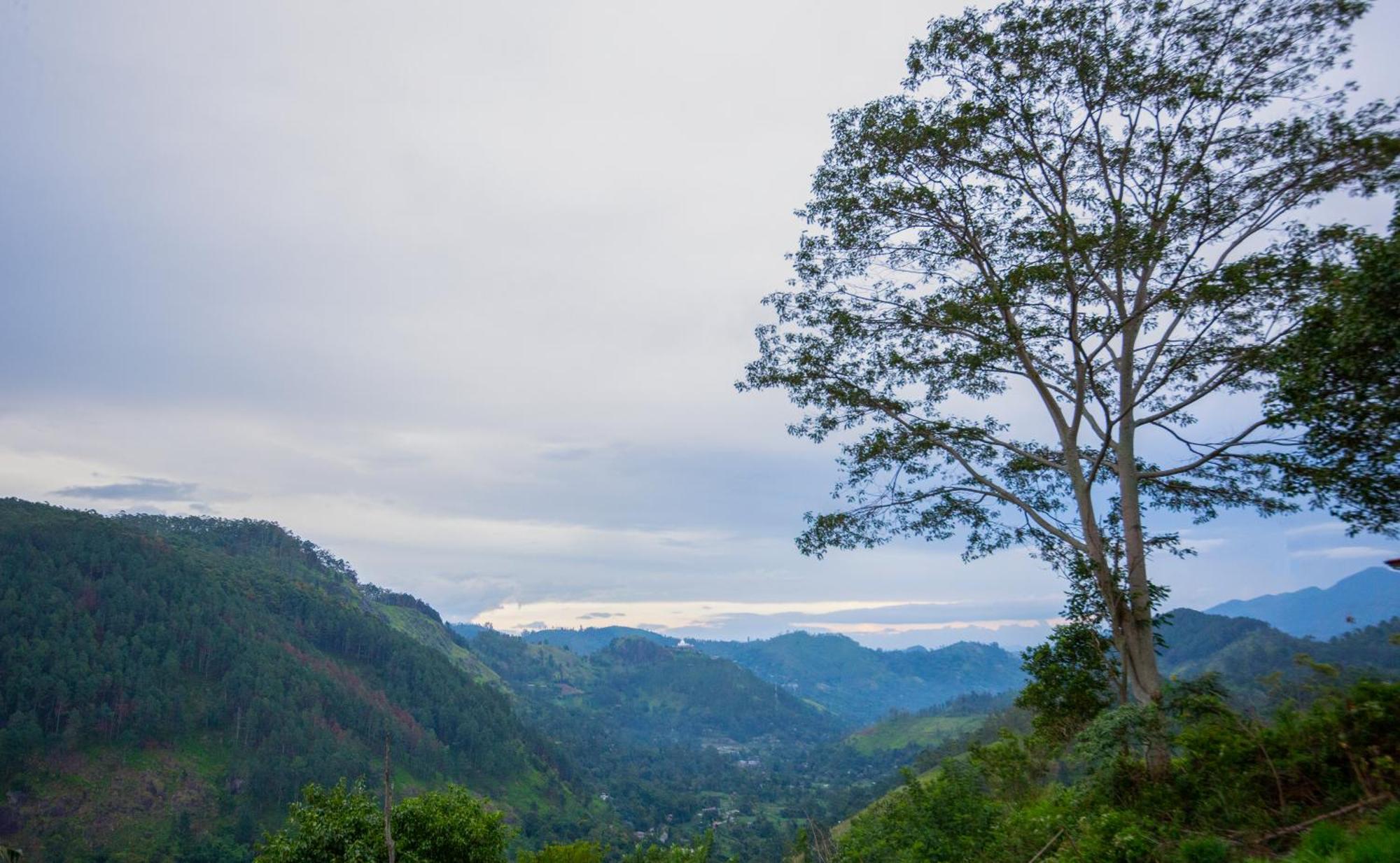 Dowa Elegance Resort เอลลา ภายนอก รูปภาพ